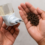 Repelente Caseiro que funciona de verdade; aprenda a receita que espanta mosquitos e perfuma sua casa