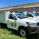 Acidente grave na BR-010 entre Palmas e Porto Nacional termina com morte de criança de 7 anos